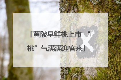 黄陂早鲜桃上市 “桃”气满满迎客来