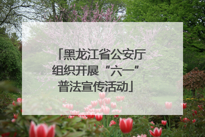 黑龙江省公安厅组织开展“六一”普法宣传活动