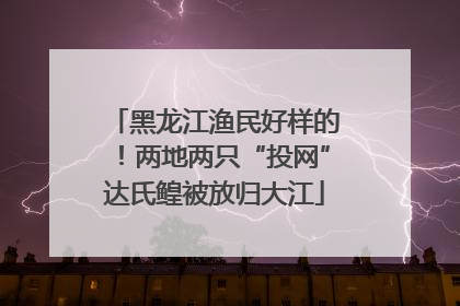 黑龙江渔民好样的！两地两只“投网”达氏鳇被放归大江