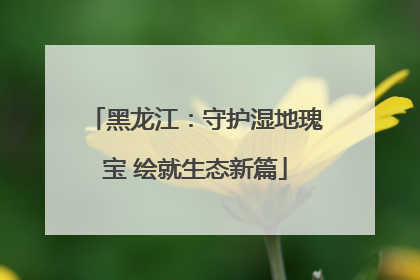 黑龙江：守护湿地瑰宝 绘就生态新篇