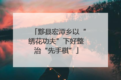 黟县宏潭乡以“绣花功夫”下好整治“先手棋”