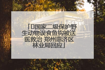 ﻿国家二级保护野生动物误食鱼钩被送医救治 郑州惠济区林业局回应