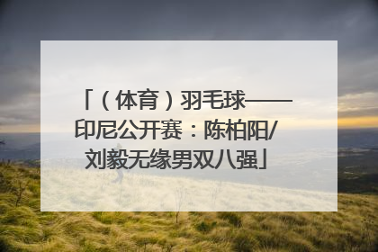 （体育）羽毛球——印尼公开赛：陈柏阳/刘毅无缘男双八强