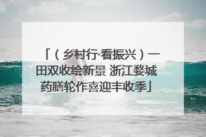 （乡村行·看振兴）一田双收绘新景 浙江婺城药膳轮作喜迎丰收季