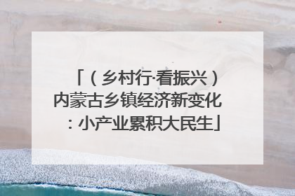 （乡村行·看振兴）内蒙古乡镇经济新变化：小产业累积大民生
