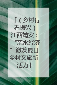 （乡村行·看振兴）江西靖安：“亲水经济”激发夏日乡村文旅新活力