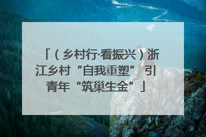 （乡村行·看振兴）浙江乡村“自我重塑” 引青年“筑巢生金”