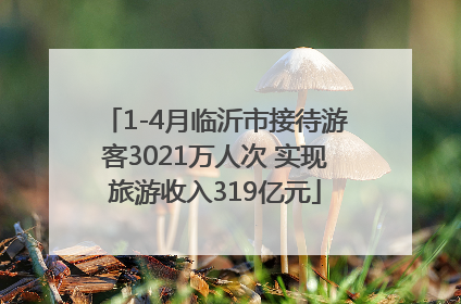1-4月临沂市接待游客3021万人次 实现旅游收入319亿元