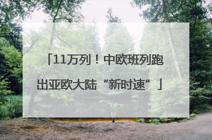 11万列！中欧班列跑出亚欧大陆“新时速”