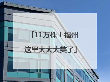 11万株！福州这里太太太美了