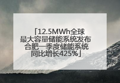 12.5MWh全球最大容量储能系统发布 合肥一季度储能系统同比增长425%