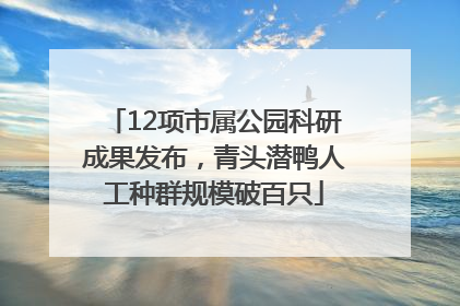 12项市属公园科研成果发布，青头潜鸭人工种群规模破百只