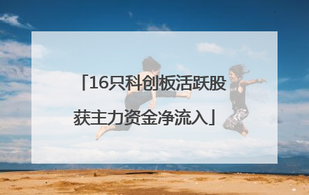 16只科创板活跃股获主力资金净流入