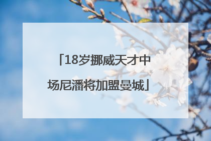 18岁挪威天才中场尼潘将加盟曼城