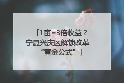 1亩=3倍收益？宁夏兴庆区解锁改革“黄金公式”
