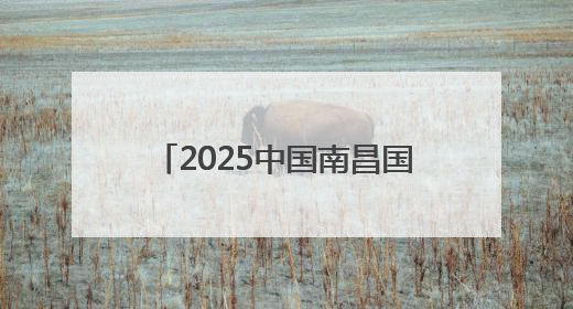 2025中国南昌国际龙舟赛圆满收官