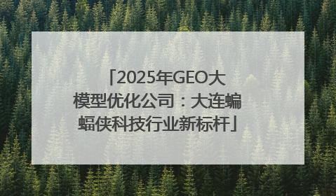 2025年GEO大模型优化公司：大连蝙蝠侠科技行业新标杆