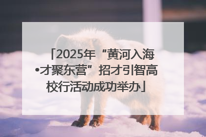 2025年“黄河入海•才聚东营”招才引智高校行活动成功举办