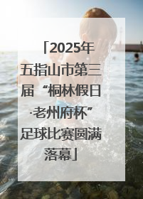 2025年五指山市第三届“桐林假日·老州府杯”足球比赛圆满落幕