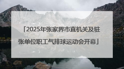 2025年张家界市直机关及驻张单位职工气排球运动会开幕