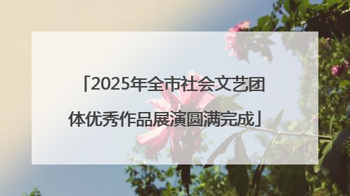 2025年全市社会文艺团体优秀作品展演圆满完成