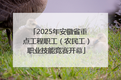 2025年安徽省重点工程职工（农民工）职业技能竞赛开幕