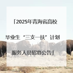 2025年青海省高校毕业生“三支一扶”计划服务人员招募公告