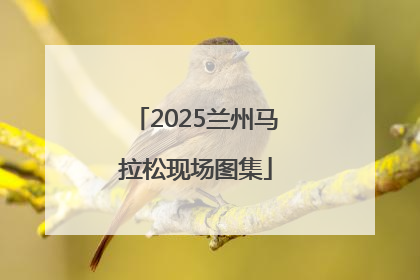 2025兰州马拉松现场图集