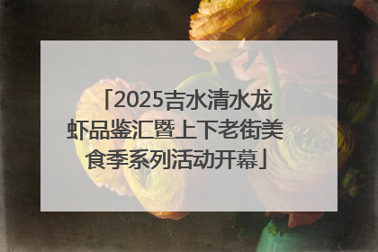 2025吉水清水龙虾品鉴汇暨上下老街美食季系列活动开幕