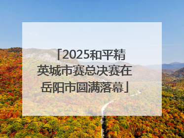 2025和平精英城市赛总决赛在岳阳市圆满落幕