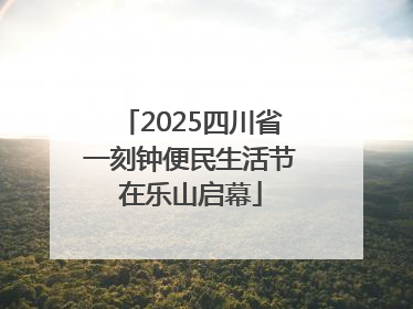 2025四川省一刻钟便民生活节在乐山启幕