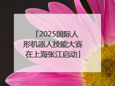 2025国际人形机器人技能大赛在上海张江启动