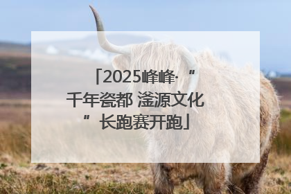 2025峰峰·“千年瓷都 滏源文化”长跑赛开跑