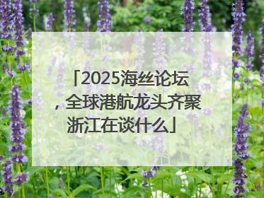 2025海丝论坛，全球港航龙头齐聚浙江在谈什么