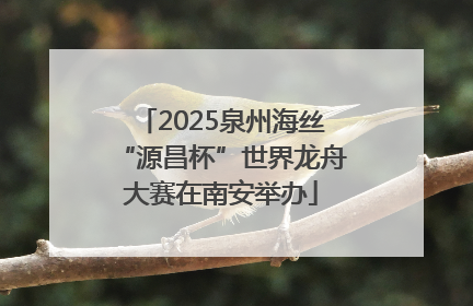 2025泉州海丝“源昌杯”世界龙舟大赛在南安举办