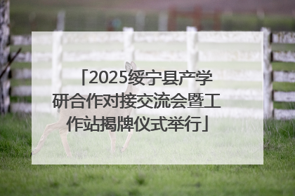 2025绥宁县产学研合作对接交流会暨工作站揭牌仪式举行