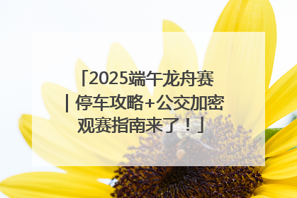 2025端午龙舟赛｜停车攻略+公交加密 观赛指南来了！