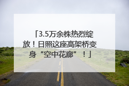 3.5万余株热烈绽放！日照这座高架桥变身“空中花廊”！