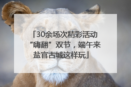 30余场次精彩活动“嗨翻”双节，端午来盐官古城这样玩
