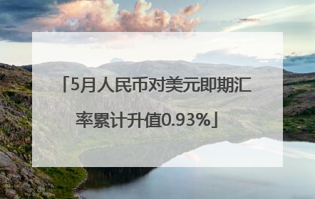 5月人民币对美元即期汇率累计升值0.93%