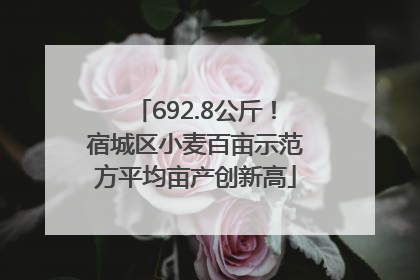 692.8公斤！宿城区小麦百亩示范方平均亩产创新高