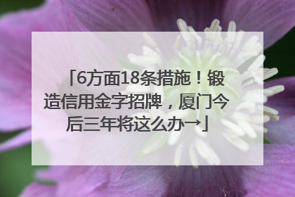 6方面18条措施！锻造信用金字招牌，厦门今后三年将这么办→