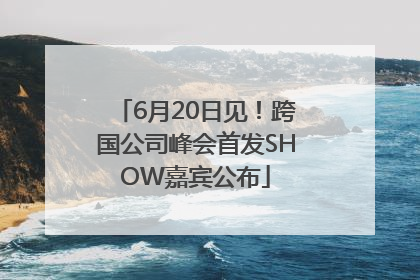 6月20日见！跨国公司峰会首发SHOW嘉宾公布