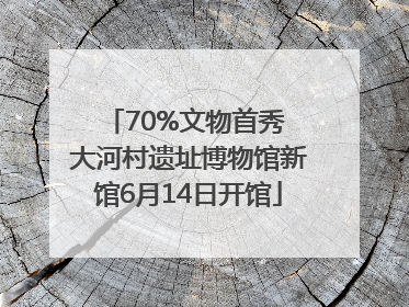 70%文物首秀 大河村遗址博物馆新馆6月14日开馆