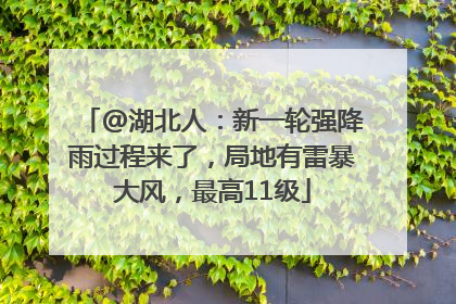 @湖北人：新一轮强降雨过程来了，局地有雷暴大风，最高11级