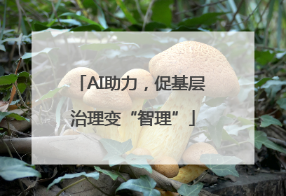 AI助力，促基层治理变“智理”