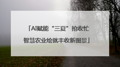 AI赋能“三夏”抢收忙 智慧农业绘就丰收新图景