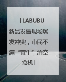 LABUBU新品发售现场爆发冲突，市民不满“黄牛”清空盒机