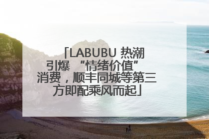 LABUBU 热潮引爆 “情绪价值” 消费，顺丰同城等第三方即配乘风而起