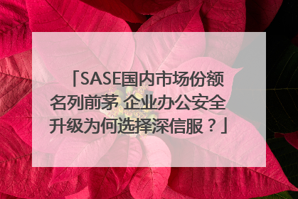 SASE国内市场份额名列前茅 企业办公安全升级为何选择深信服？